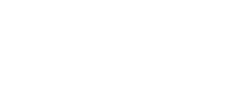 Deputada Federal Sonia Guajajara