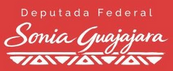Deputada Federal Sonia Guajajara